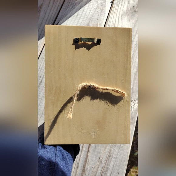 Cute Little Plant Hanger - Picture 2 of 2